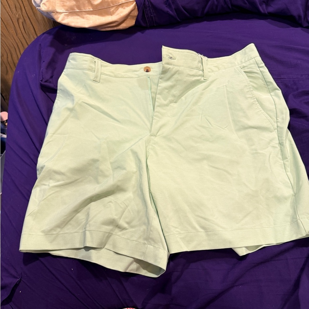 Mint Green mens Casual Shorts